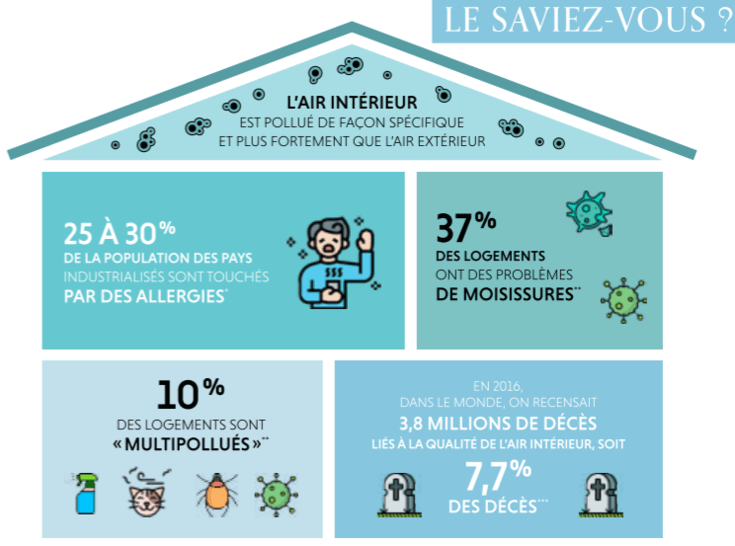 Améliorer la qualité de l'air dans son intérieur - Carnets de tendances